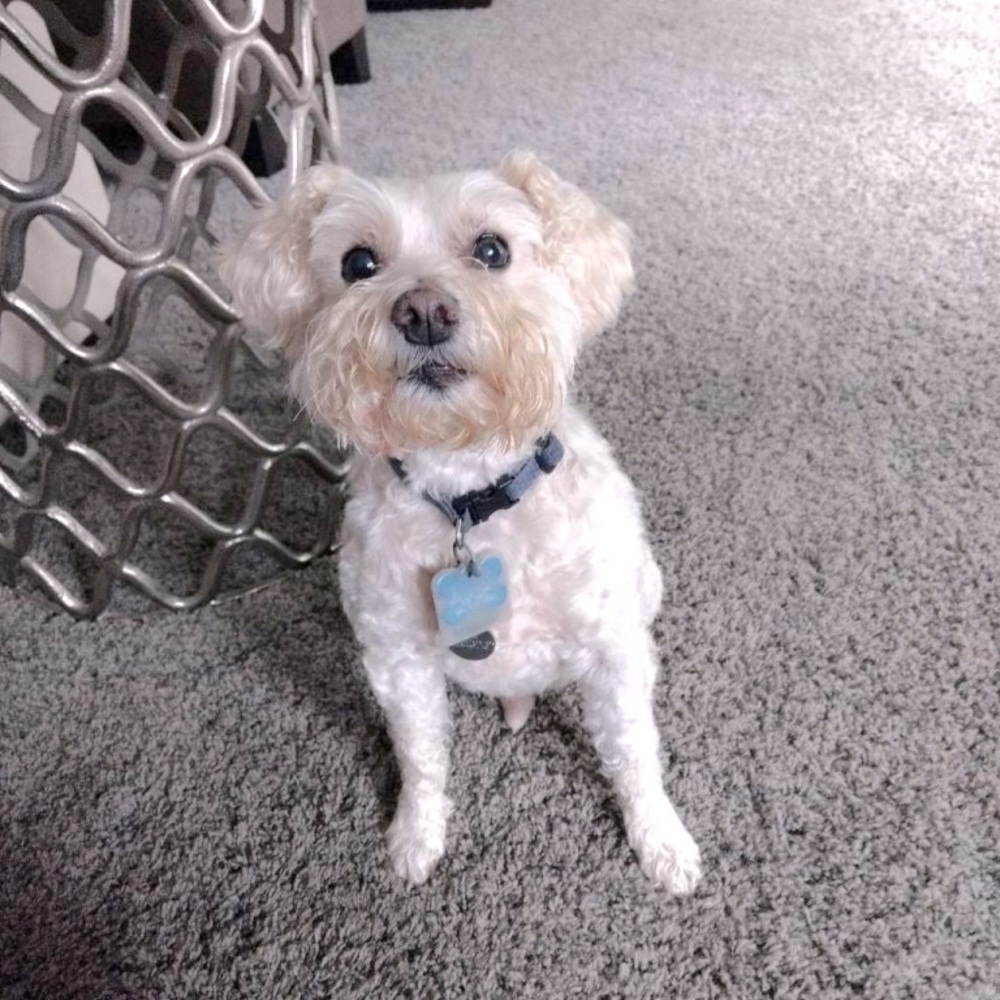 Meet your Posher, Erica